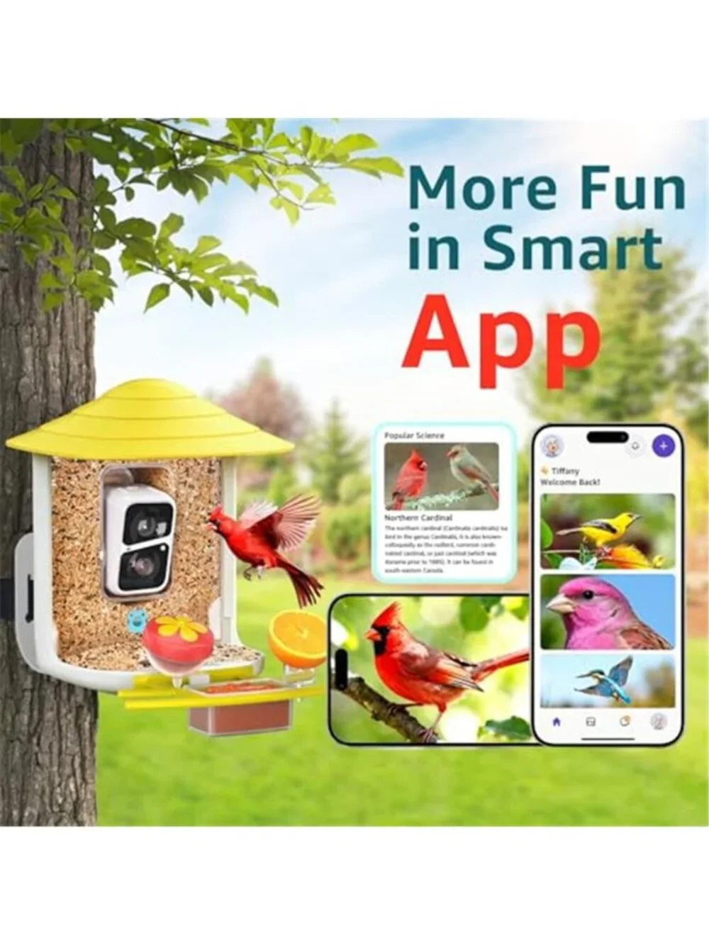 New TUC Bird Feeder with Camera 2K HD Live with 32GB Card Auto Detect